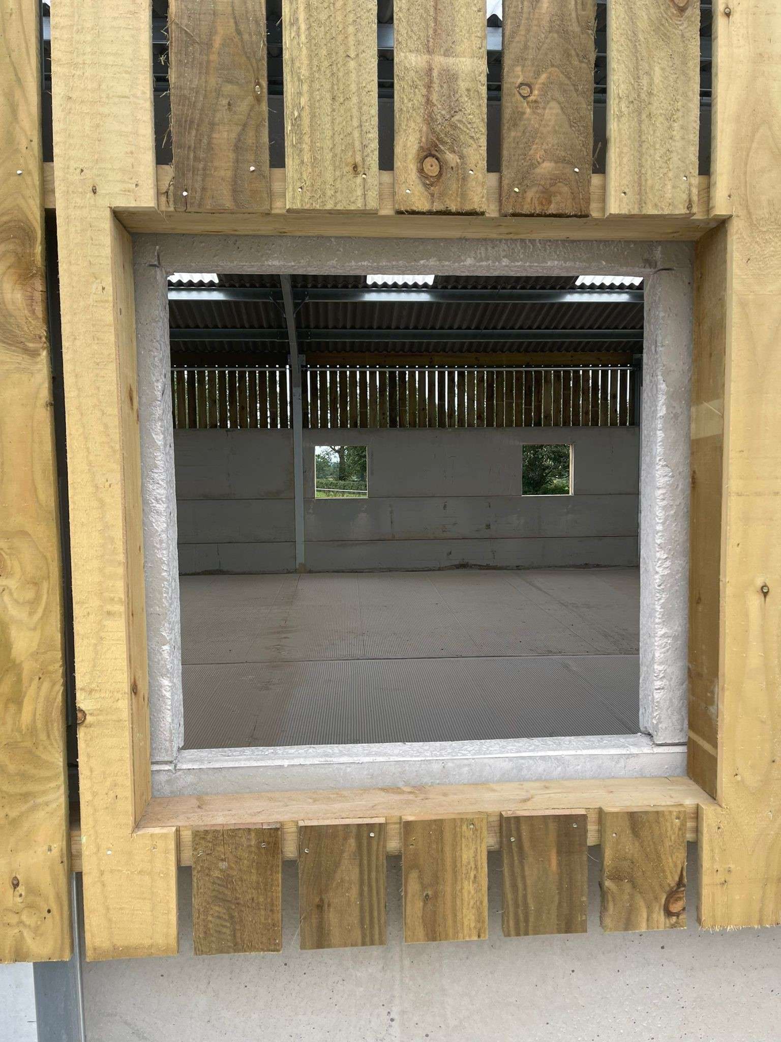 Equestrian window