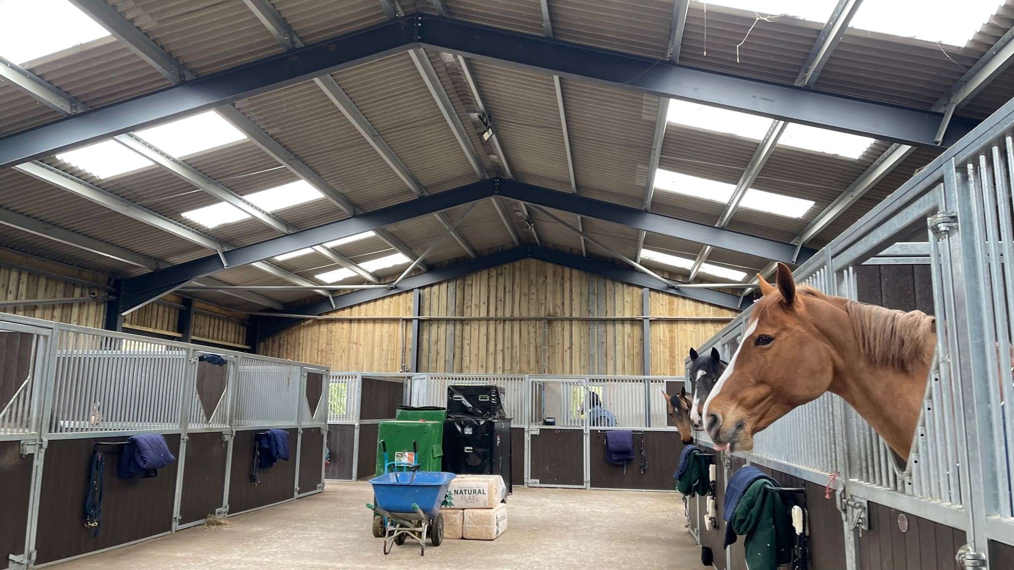 Show Jumping Company