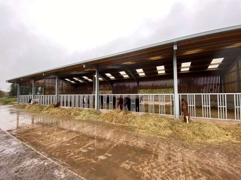 Equine Barn Duo
