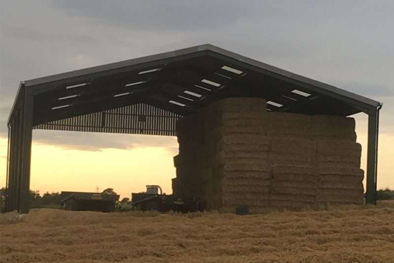 Homestead Farm Case Study