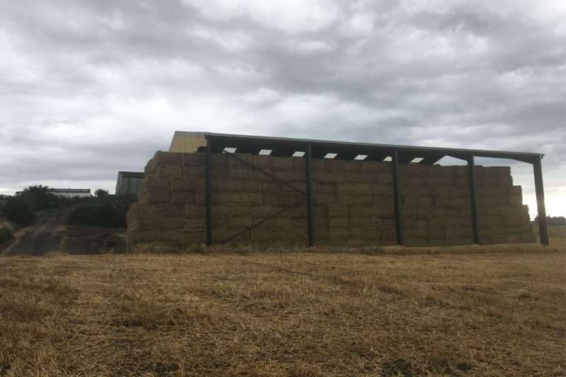 Homestead Farm Case Study