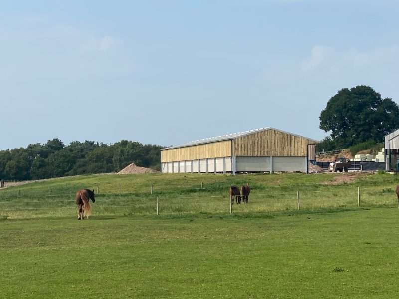 Equine Barn Duo