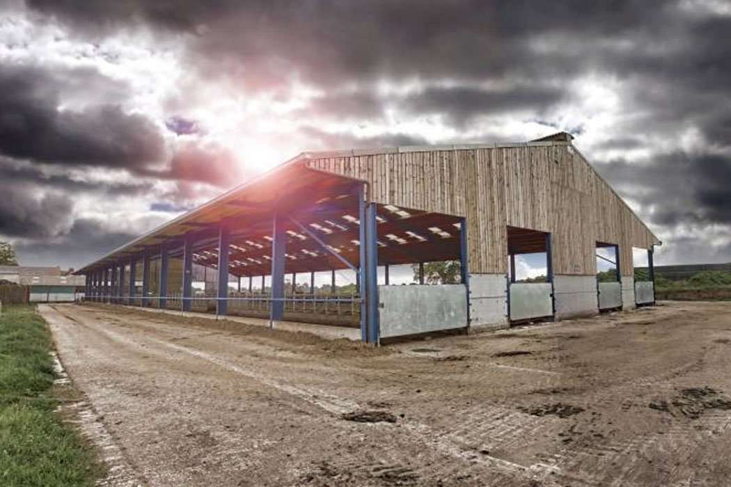 Brockhurst Livestock Build