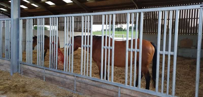 Cheshire Retirement Livery