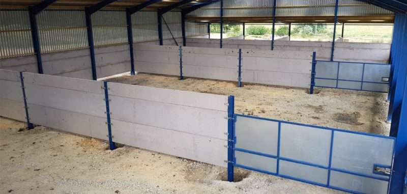 Livestock Shed with Lean To