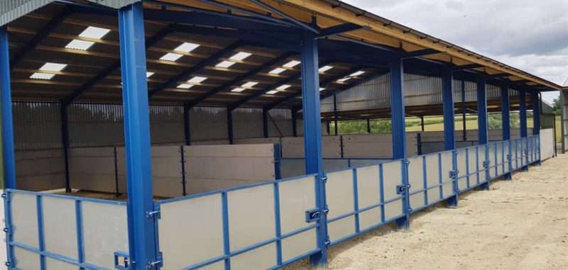 Livestock Shed with Lean To