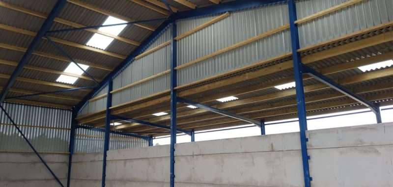 Livestock Shed with Lean To