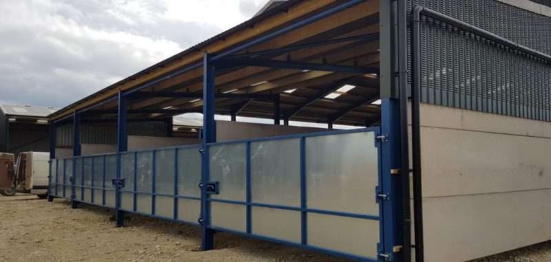 Livestock Shed with Lean To