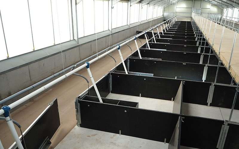 Pig Stores in Rugeley - Case Study