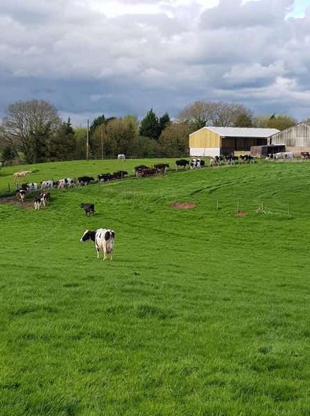Little Bank Farm Case Study