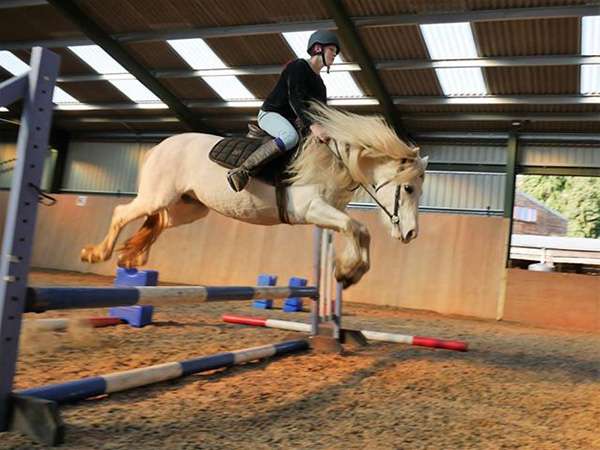 Penycoed Riding Centre
