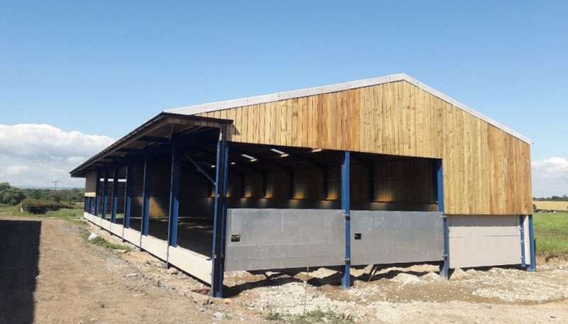 Livestock Shed in Northallerton