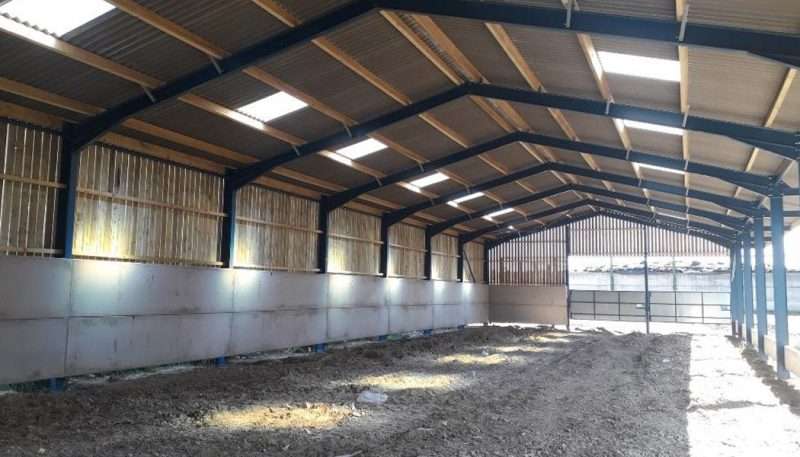 Livestock Shed in Northallerton