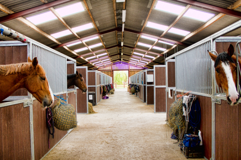 Stables
