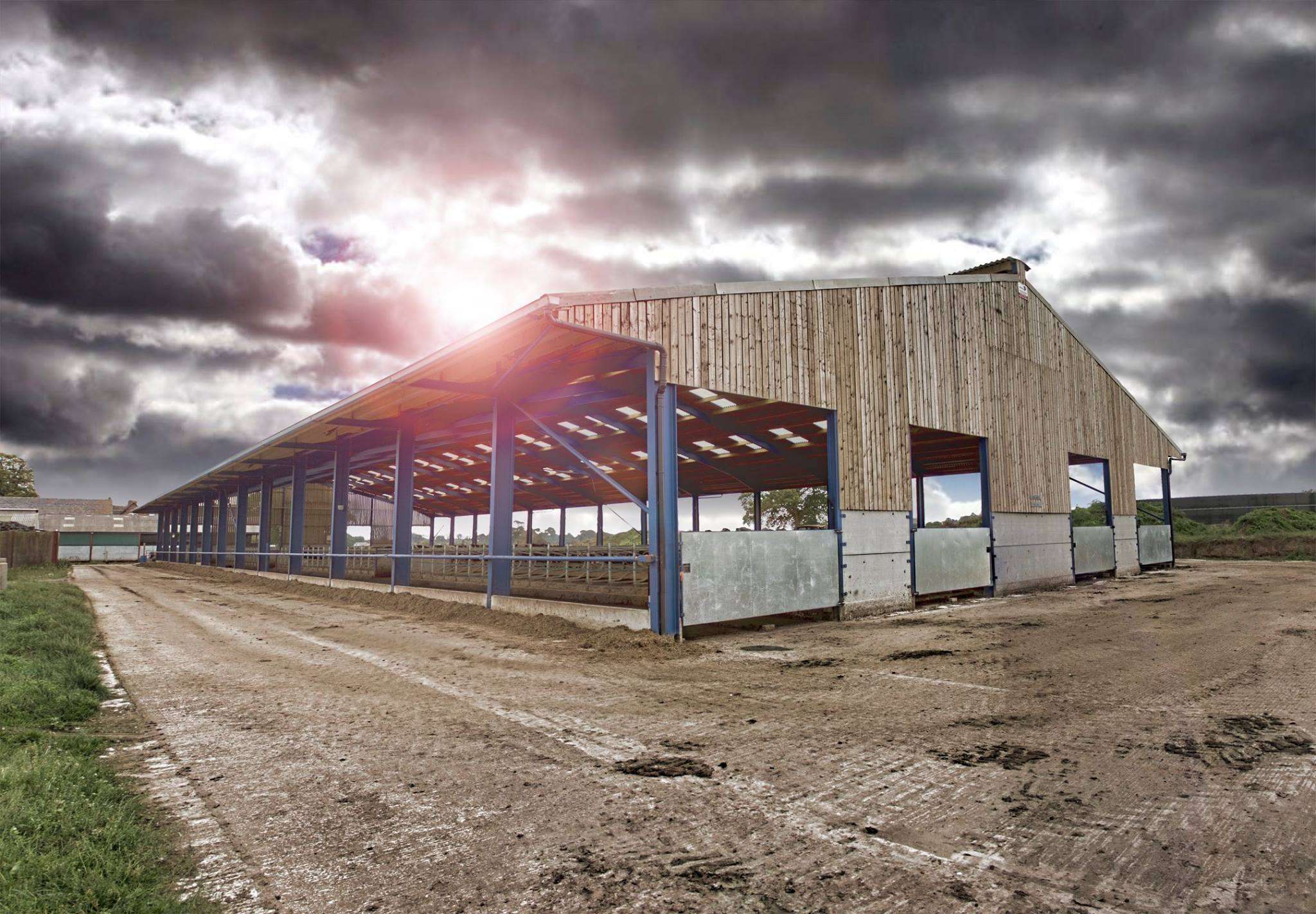 Choosing the right building to help reduce heat stress in your herd!